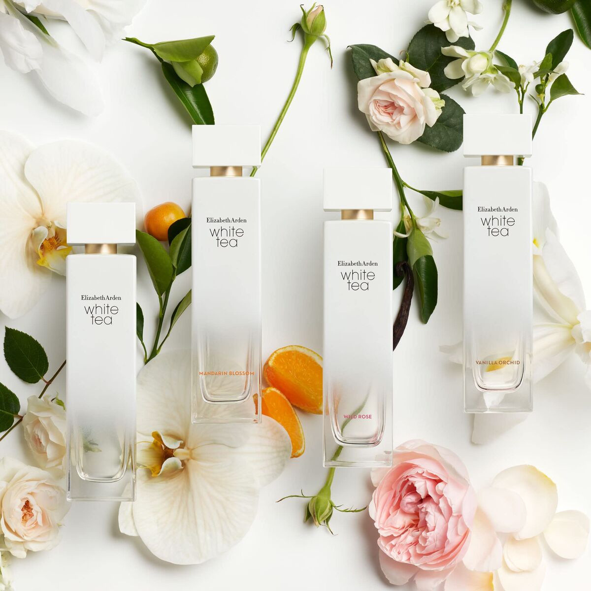 V2H5F51B195CF0921D5201D6BA1EC2E073FR7784377P4