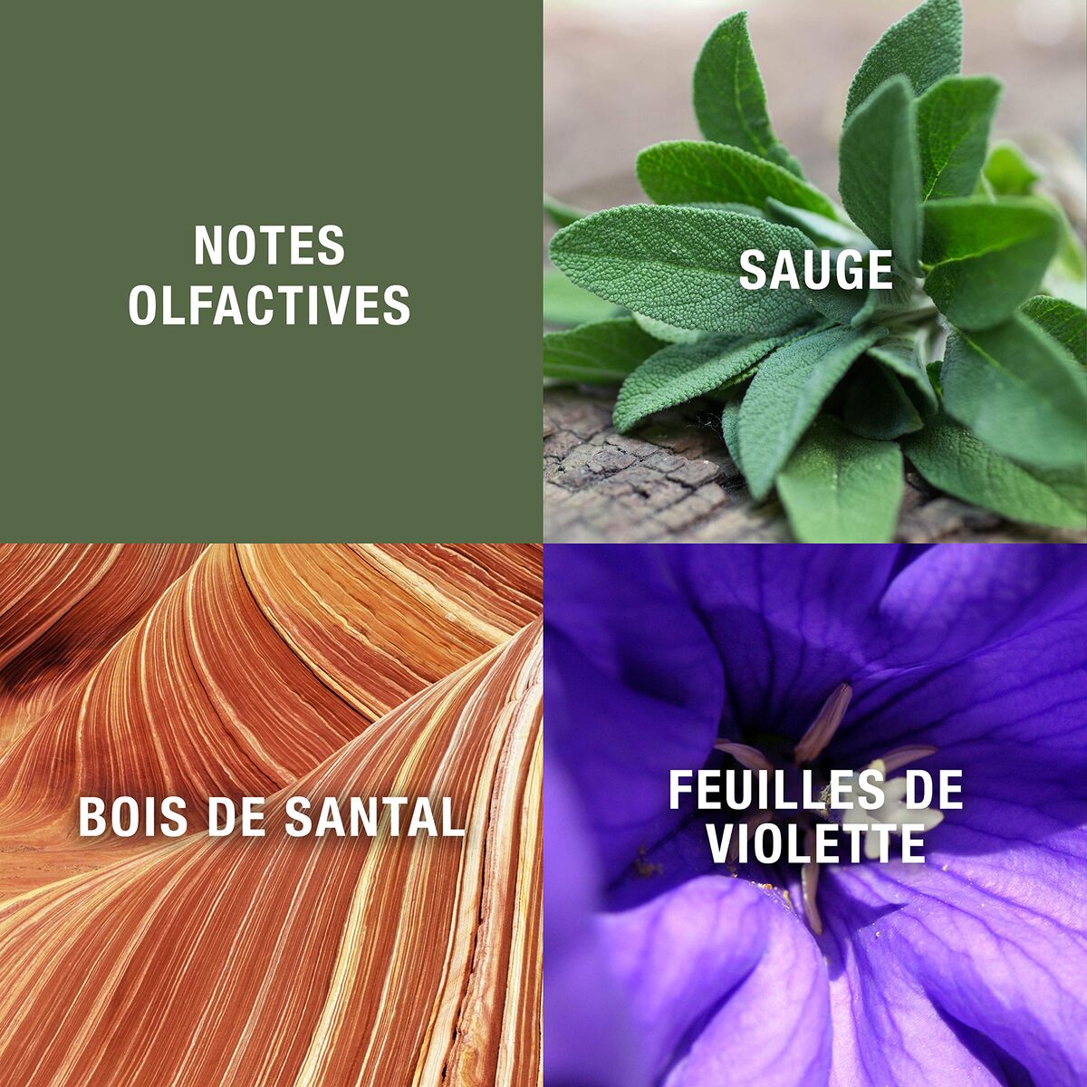 V2HA1E645635F004156CC05DAB5F8745C9ER7745781P6