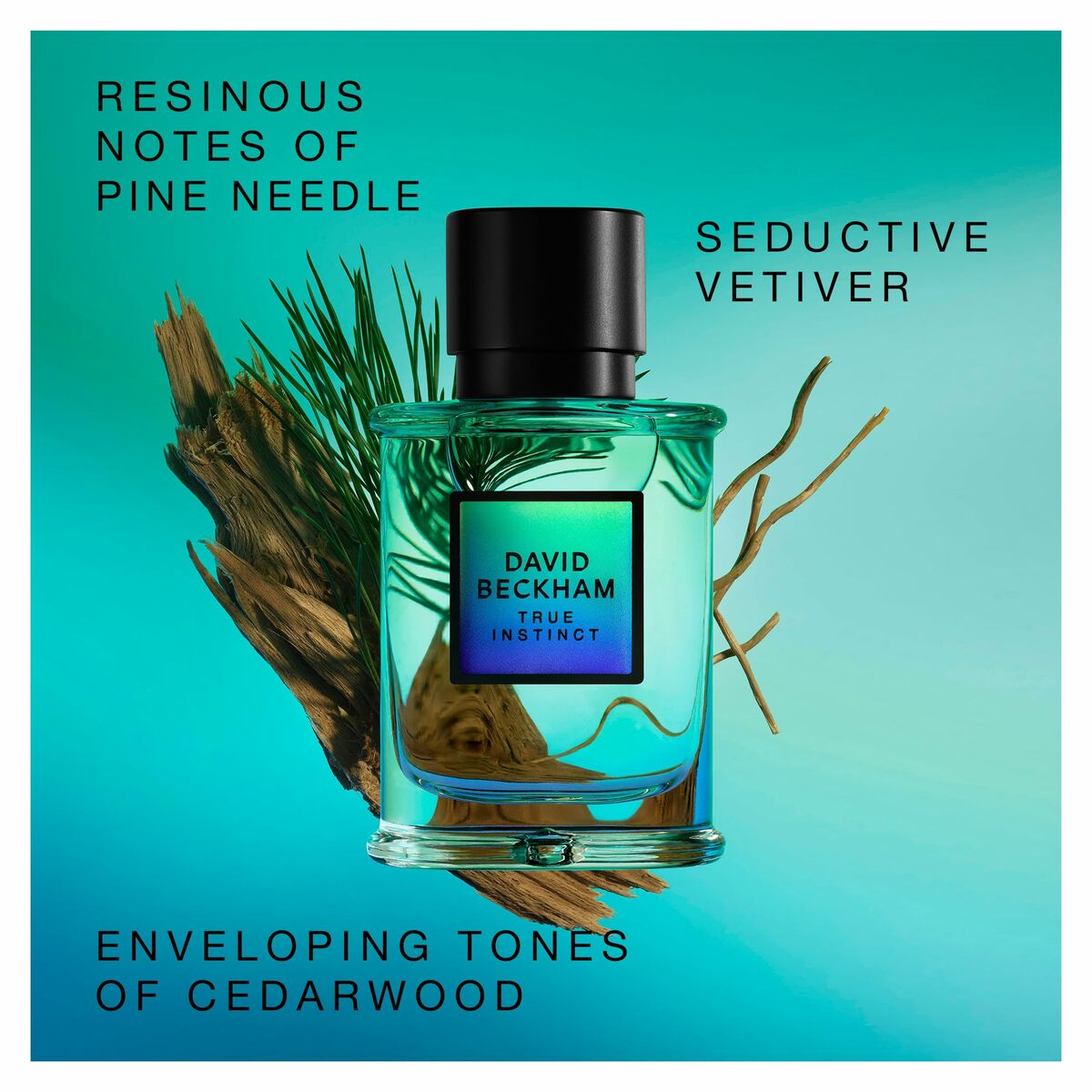 V4H637B880AE999F2A5914B838E8731820DR7175292P4