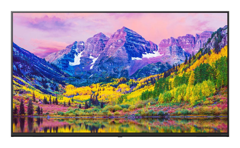 LG TV 55 Hotel 4K UHD