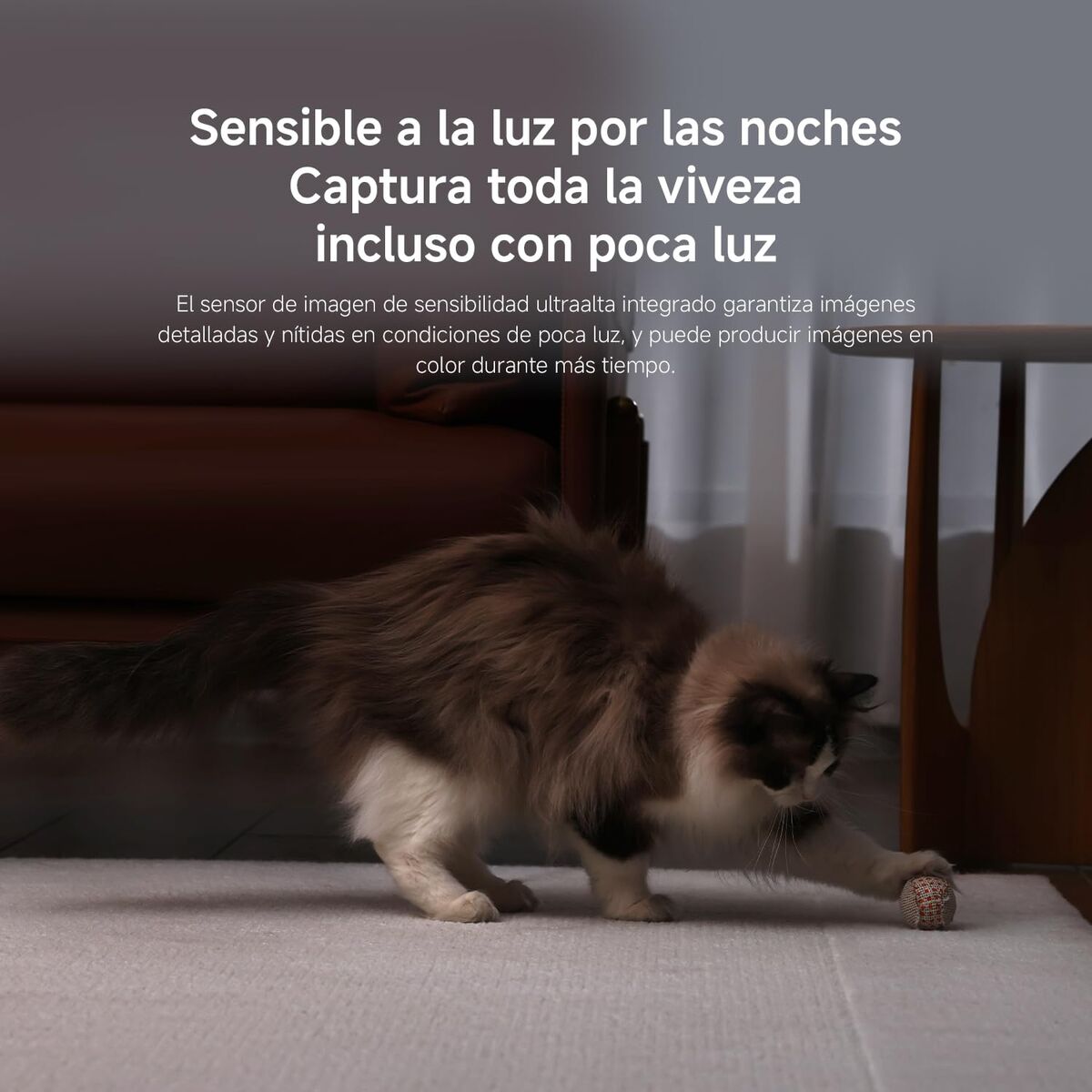 Xiaomi Surveillance Camcorder Xiaomi