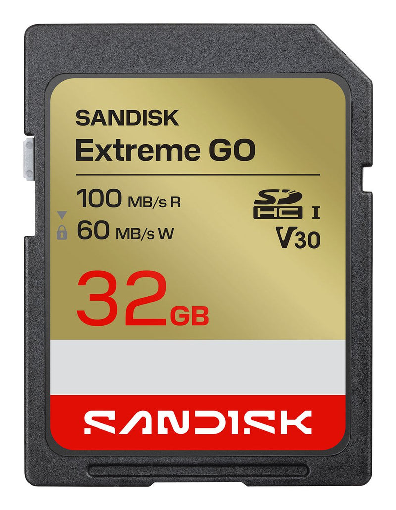 SanDisk Memory Sdhc 32GB Uhs-i/SDSDXGN-032G-GNCIN