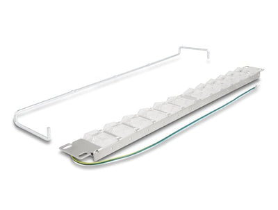 Delock 67066 Panel Connection Keystone 19 With 24 Ports Inclinables And Alivio Voltage — image 1