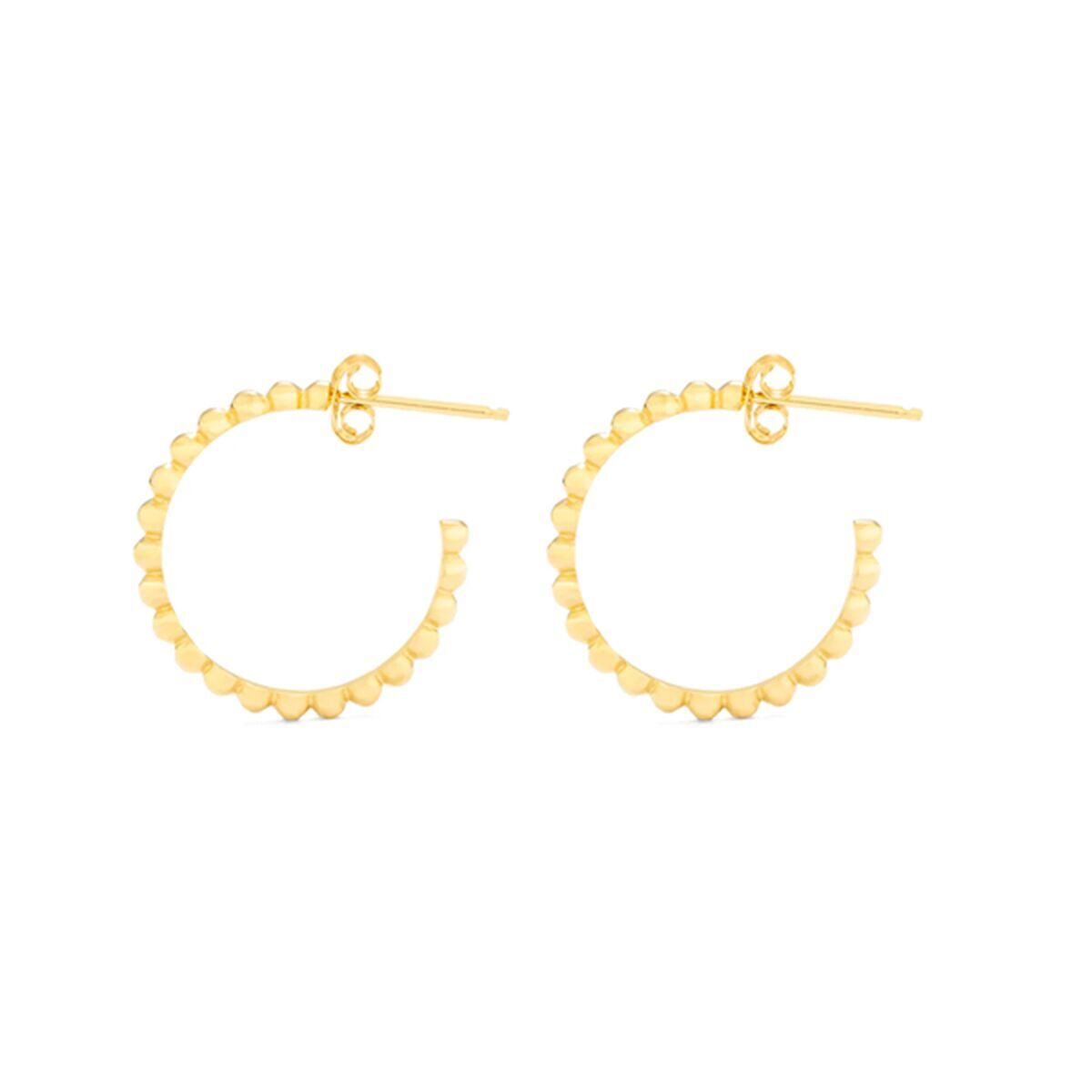 Ladies' Earrings Radiant RY000016