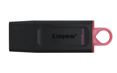 Kingston USB Flash Drive 256GB Datatraveler Exodia USB 3.2 Gen 1 Dtx/256GB — image 1