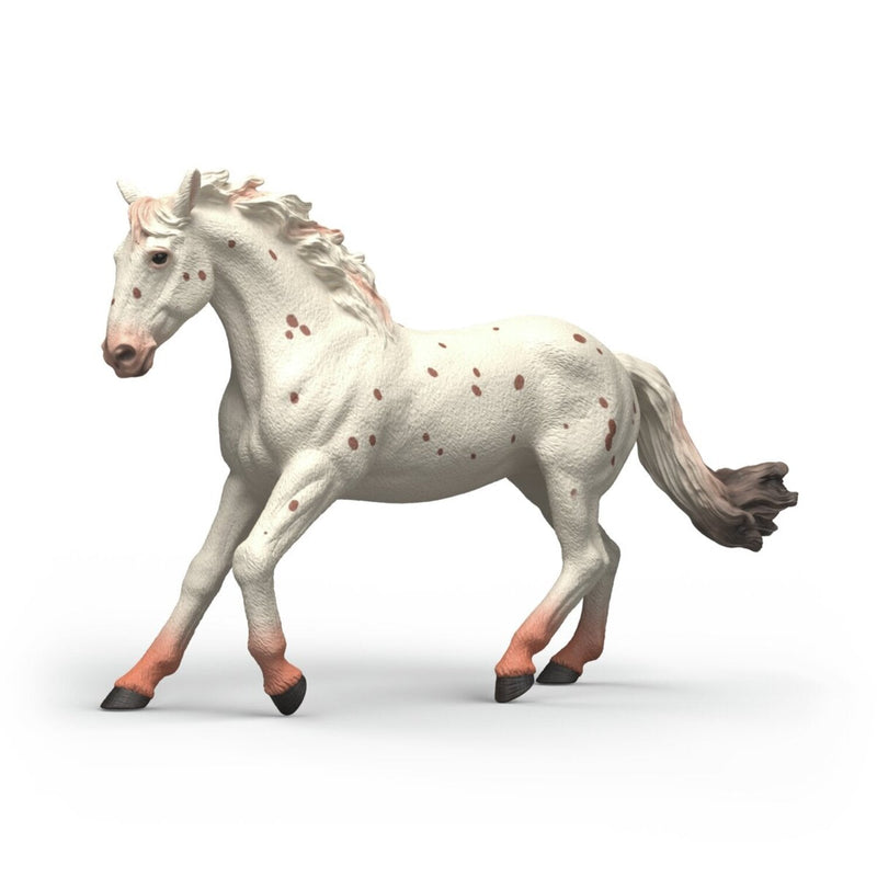 Schleich Figure Horse Club Knabstrupper Yegua 14917