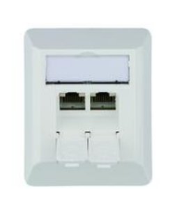Telegärtner Socket AMJ45 8/8 K Ap / 50 CAT.6A White Alpino