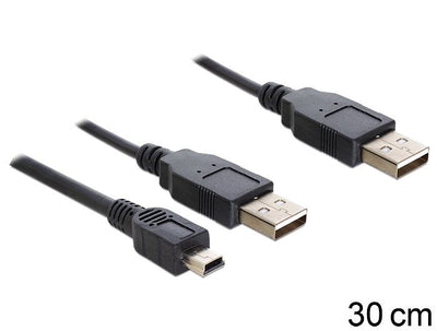 Delock Cable 2 X USB 2.0-A Male USB Mini 5-PIN.30CM — image 1