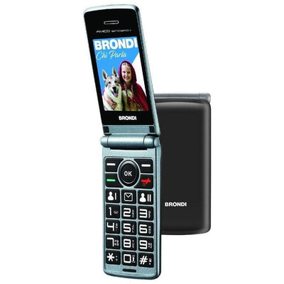 Brondi Amico Sincero + Nero Ds Ita — image 1