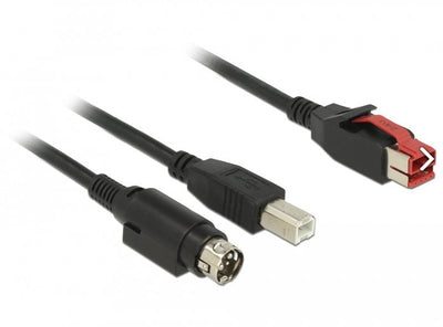 Delock 85488 Poweredusb Cable Male 24V USB Tipo-b Male + Hosiden Mini-din 3 Pines, Male 2M Printers And Termin — image 1