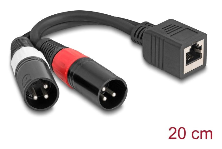 Delock Cable Adapter RJ45 Connector Female a 2 X Xlr 3 Pin Connector Male Black 20CM