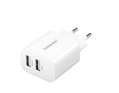 Intenso 2x USB-A Adapter White — image 1