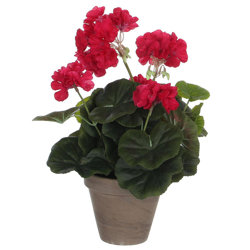 Geranio Pink Oscuro Pvc With Plant Pot Grey