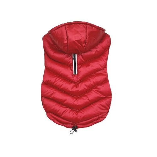 Pchelka Sherry Network - Ropa Perros - Size Xs — image 1