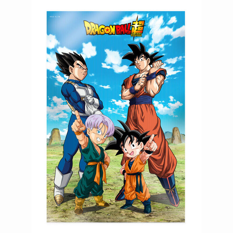 Poster 3D Batalla Dioses Dragon Ball Super