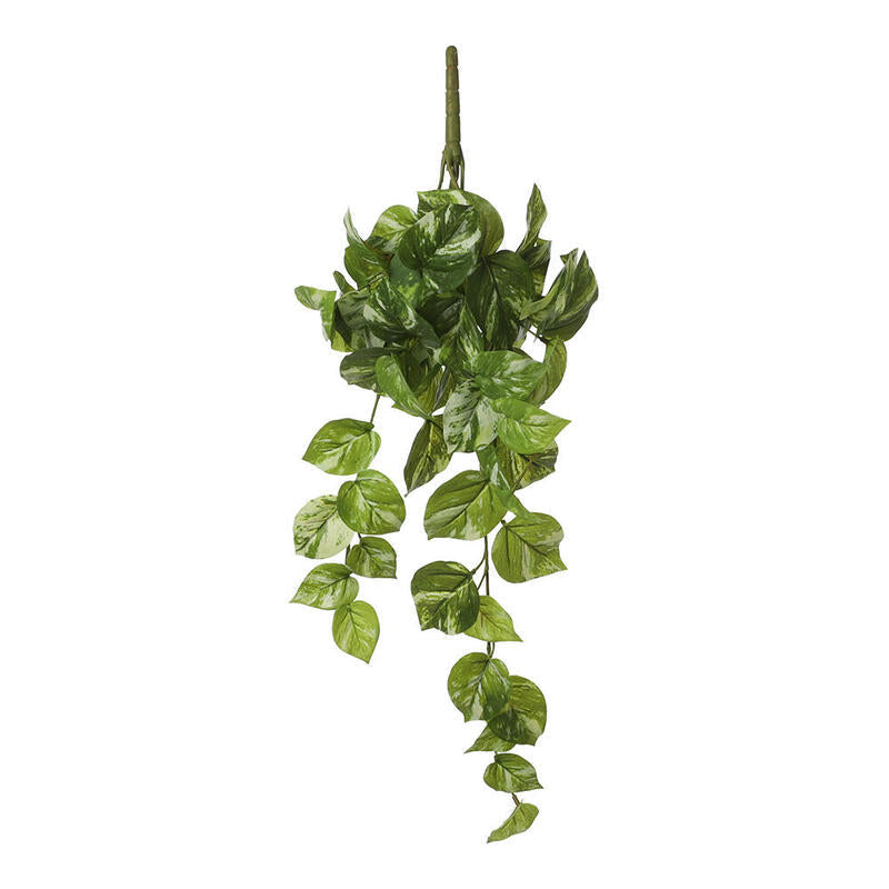 Potos Colgante Colour Green 14X58X20CM